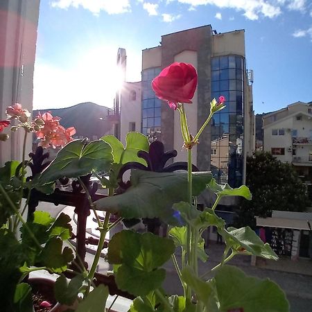 Kiwi Apartments Budva Exteriér fotografie